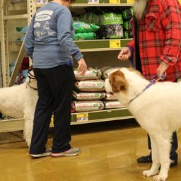 photograph by PeterW